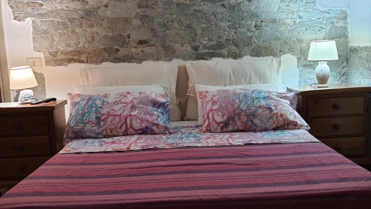 B&B Tenuta Di Vado Piano Nella Selva Di Circe Cerasella Exterior foto